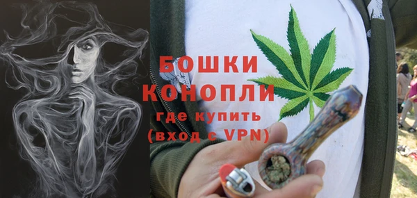 прущая мука Анива
